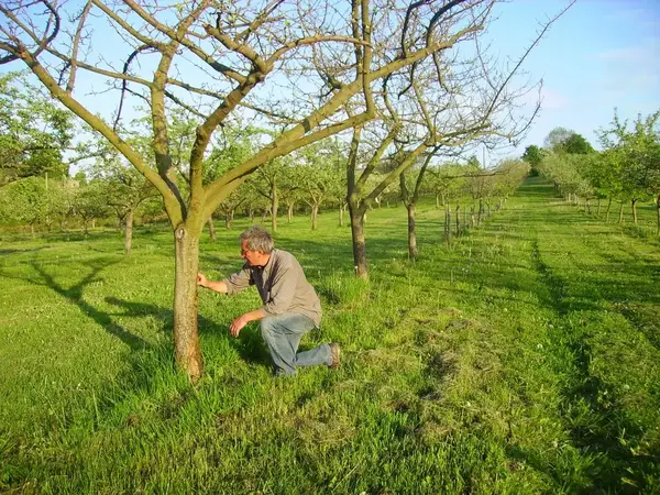 La Ferme du Chêne